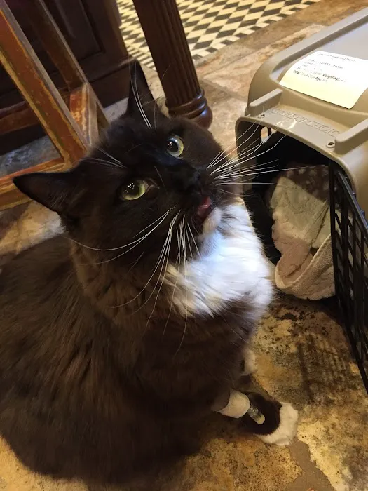 Hyde Park Animal Hospital Picture 6