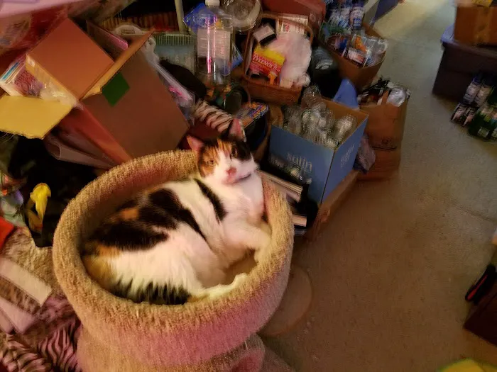 Hyde Park Animal Hospital Picture 7