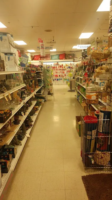 Pet Safari - In Store Shopping or CURB SIDE assistance Picture 1