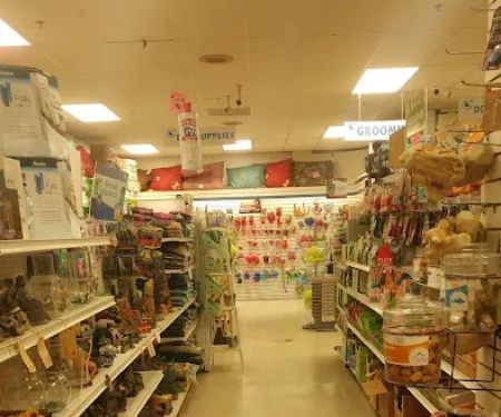 Pet Safari - In Store Shopping or CURB SIDE assistance