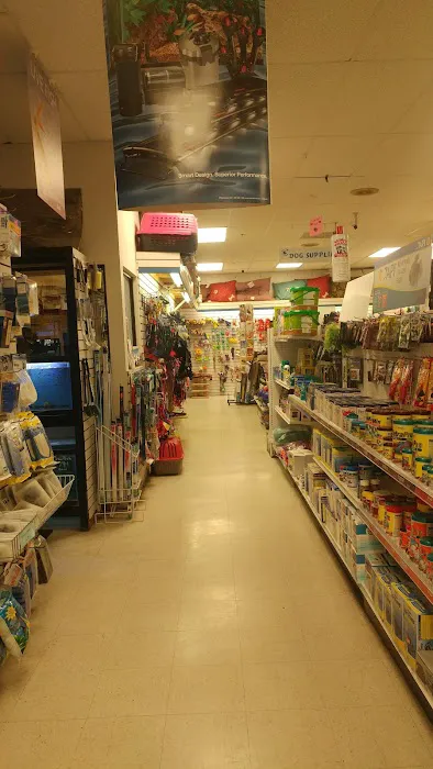 Pet Safari - In Store Shopping or CURB SIDE assistance Picture 9