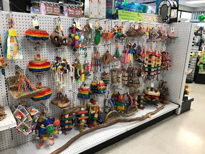 Pet Safari - In Store Shopping or CURB SIDE assistance Picture 7