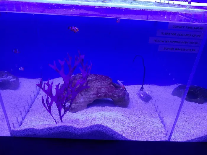 Orange Park Aquatics Picture 2