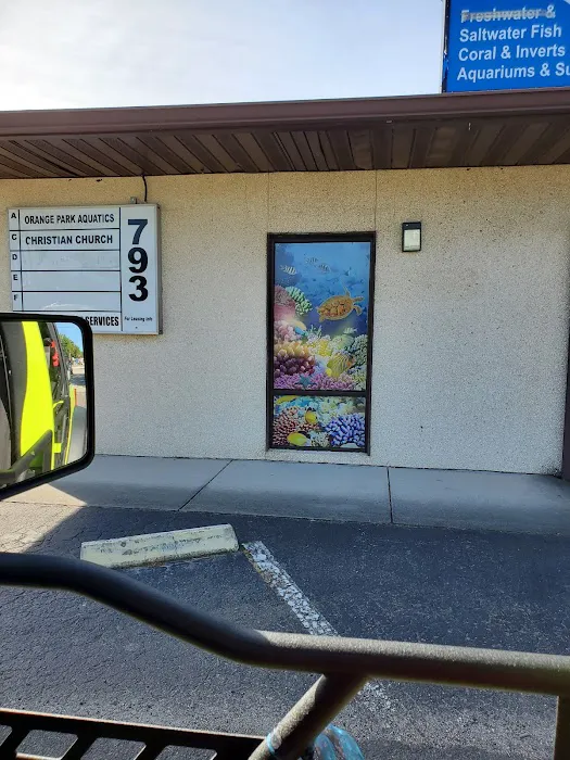 Orange Park Aquatics Picture 3