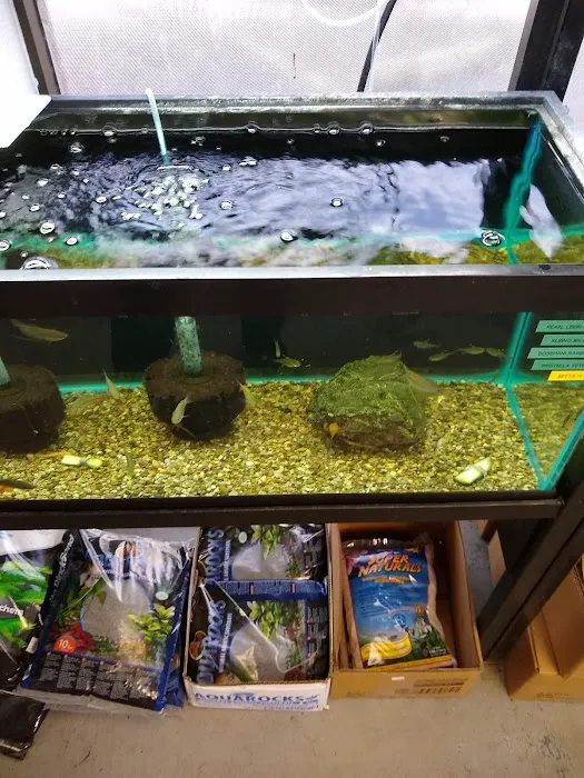 Orange Park Aquatics Picture 1