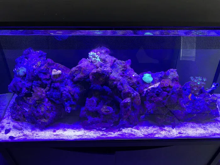 Orange Park Aquatics Picture 9