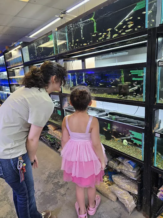 Orange Park Aquatics Picture 7