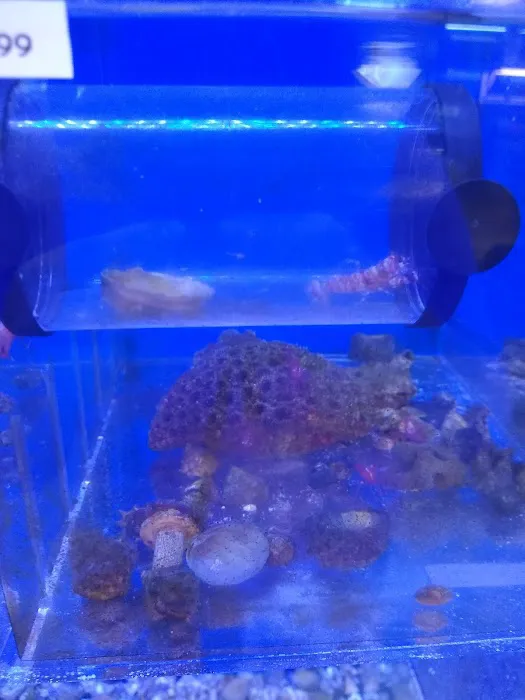 Orange Park Aquatics Picture 8