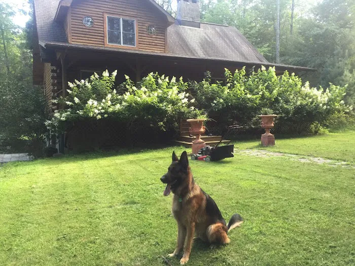 Reservoir Veterinary Hospital Picture 1