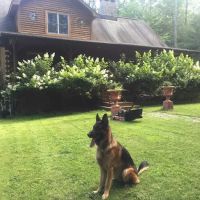 Reservoir Veterinary Hospital ico