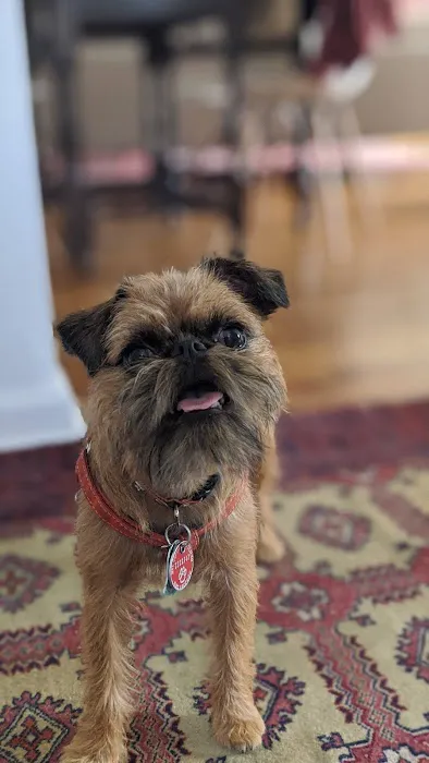 Reservoir Veterinary Hospital Picture 2