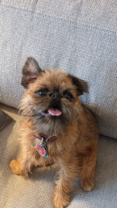 Reservoir Veterinary Hospital Picture 6