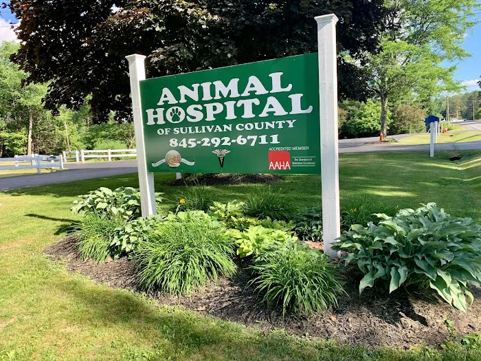 Animal Hospital of Sullivan County Picture 5