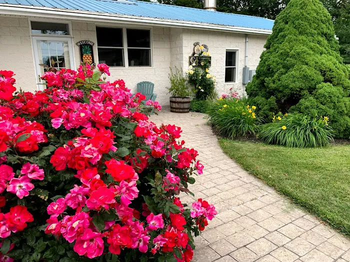 Animal Hospital of Sullivan County Picture 4