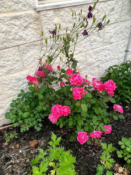 Animal Hospital of Sullivan County Picture 7