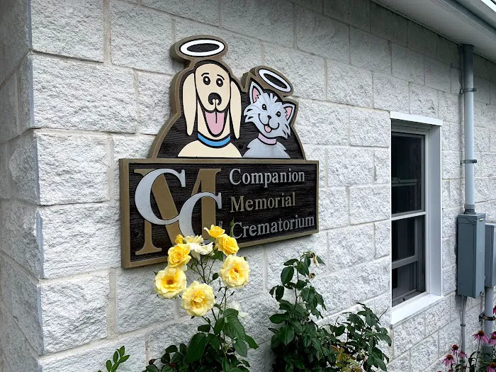 Animal Hospital of Sullivan County Picture 6