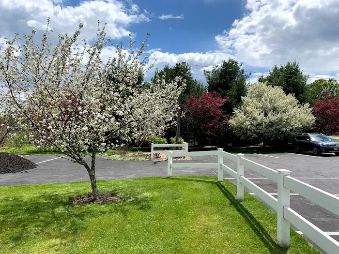 Animal Hospital of Sullivan County Picture 10