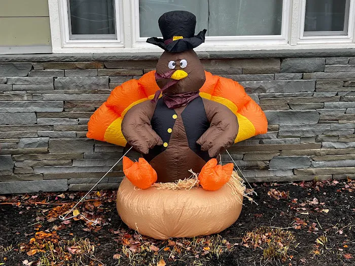 Animal Hospital of Sullivan County Picture 9