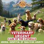 Catskill Urgent Veterinary Care
