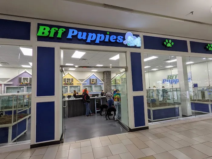 Bff Puppies Picture 2