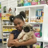 Bff Puppies ico