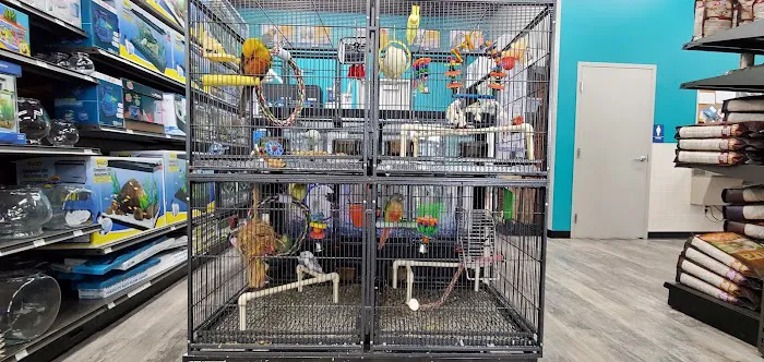 Pet Supermarket Picture 3
