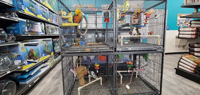 Pet Supermarket Picture 2