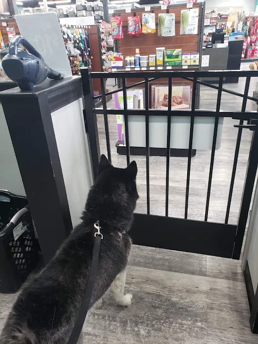Pet Supermarket Picture 1