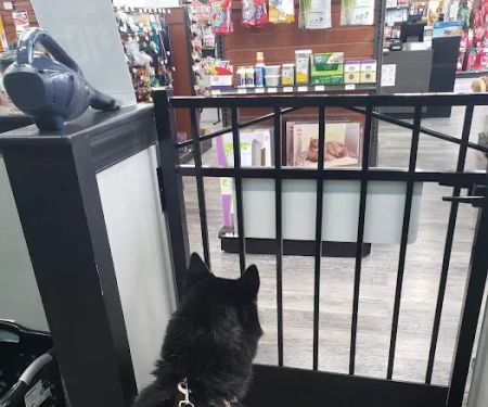Pet Supermarket