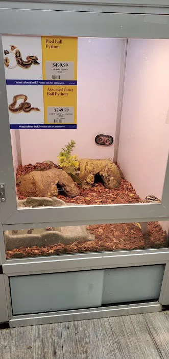 Pet Supermarket Picture 4