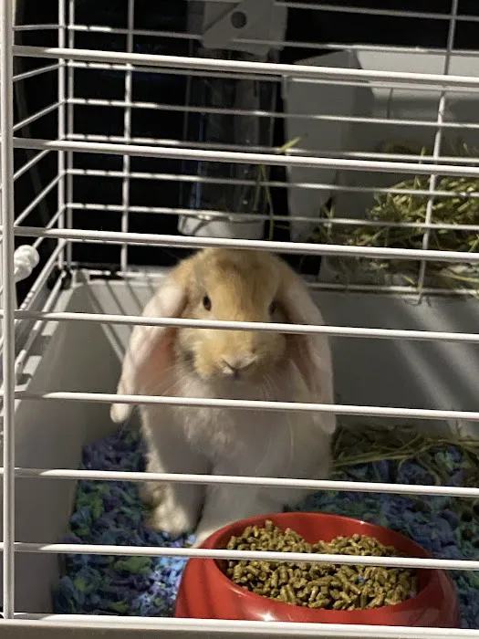 Pet Supermarket Picture 5
