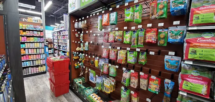 Pet Supermarket Picture 7