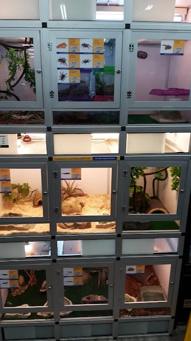 Pet Supermarket Picture 9