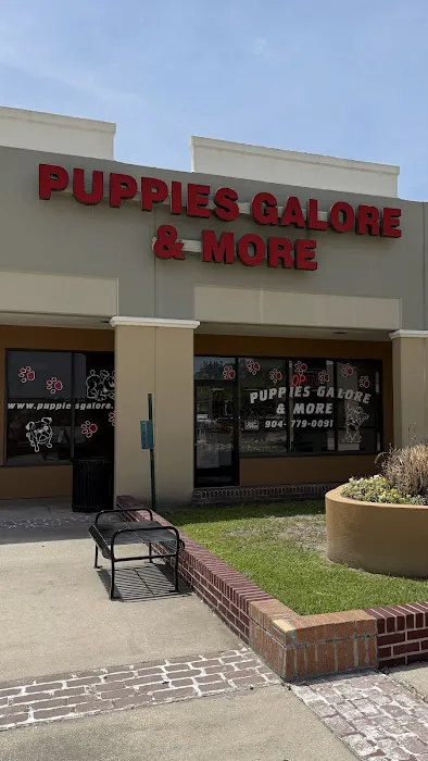 Puppies Galore & More Picture 1