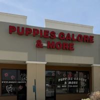 Puppies Galore & More ico