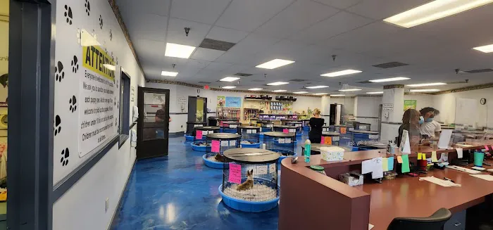 Puppies Galore & More Picture 6