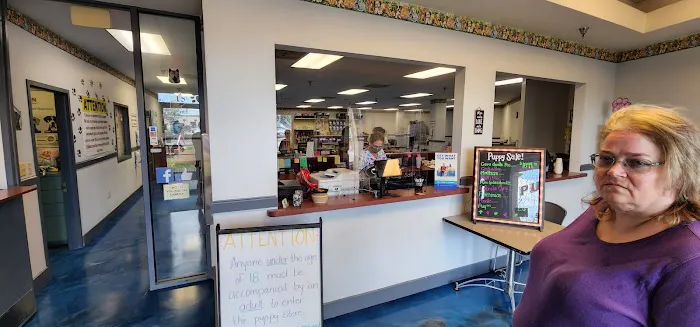 Puppies Galore & More Picture 10