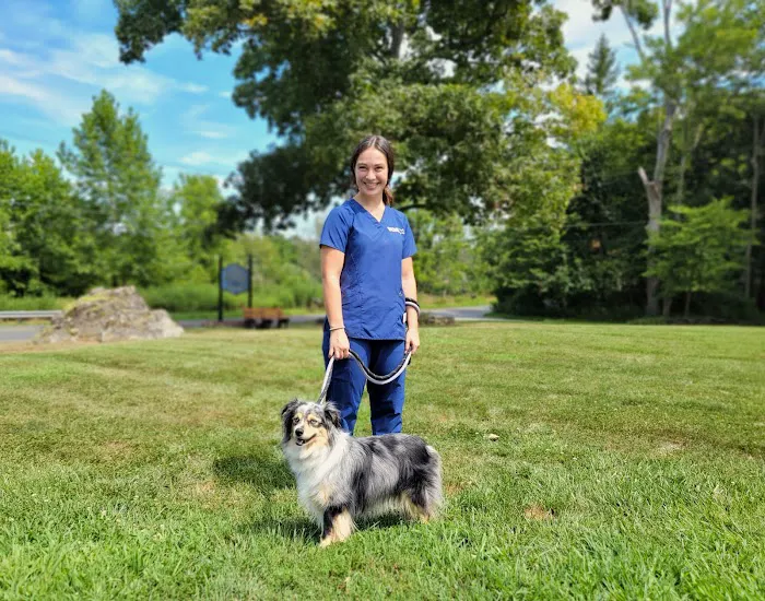 VCA Blairstown Animal Hospital Picture 1