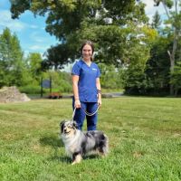 VCA Blairstown Animal Hospital ico
