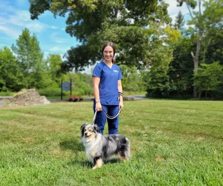 VCA Blairstown Animal Hospital