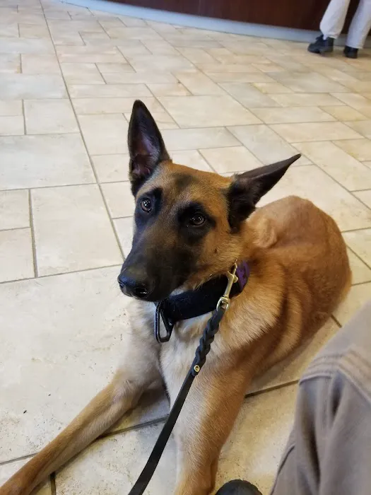 VCA Blairstown Animal Hospital Picture 5