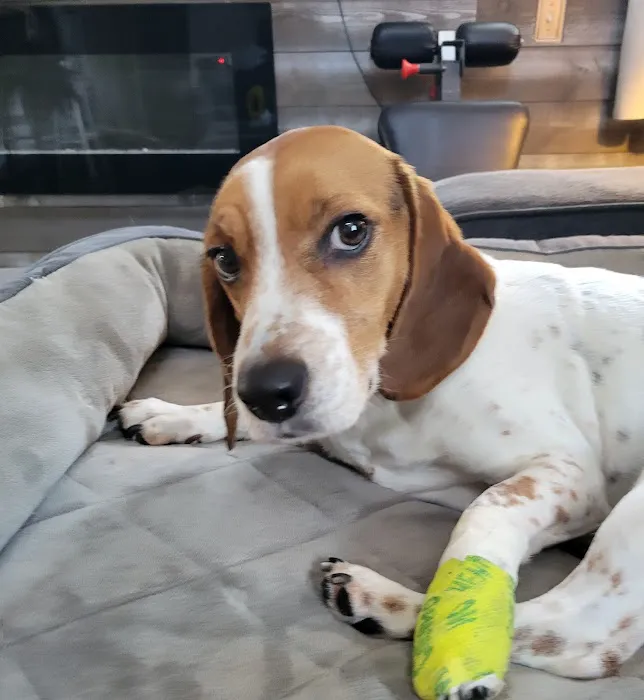 VCA Blairstown Animal Hospital Picture 7