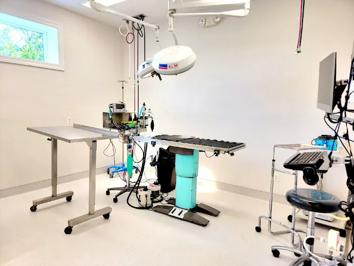 VCA Blairstown Animal Hospital Picture 6