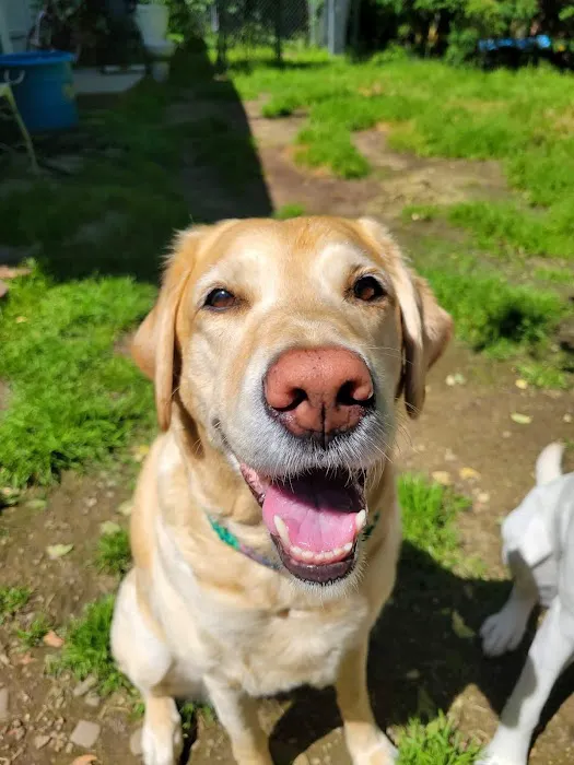 VCA Blairstown Animal Hospital Picture 8