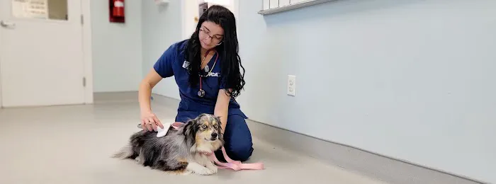 VCA Blairstown Animal Hospital Picture 10