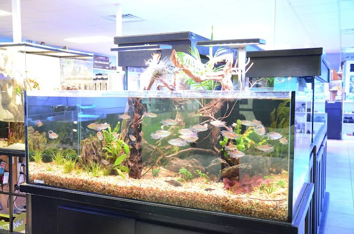 Aquatic City Aquariums Picture 4