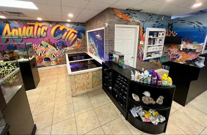 Aquatic City Aquariums Picture 2
