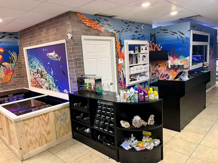 Aquatic City Aquariums Picture 6