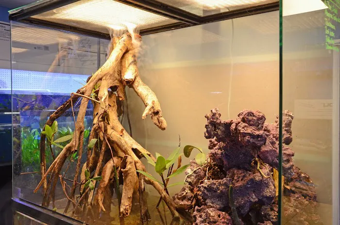 Aquatic City Aquariums Picture 8