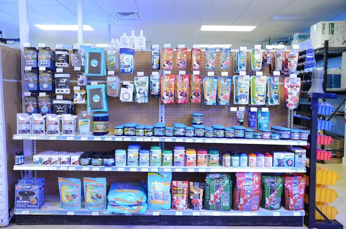 Aquatic City Aquariums Picture 9